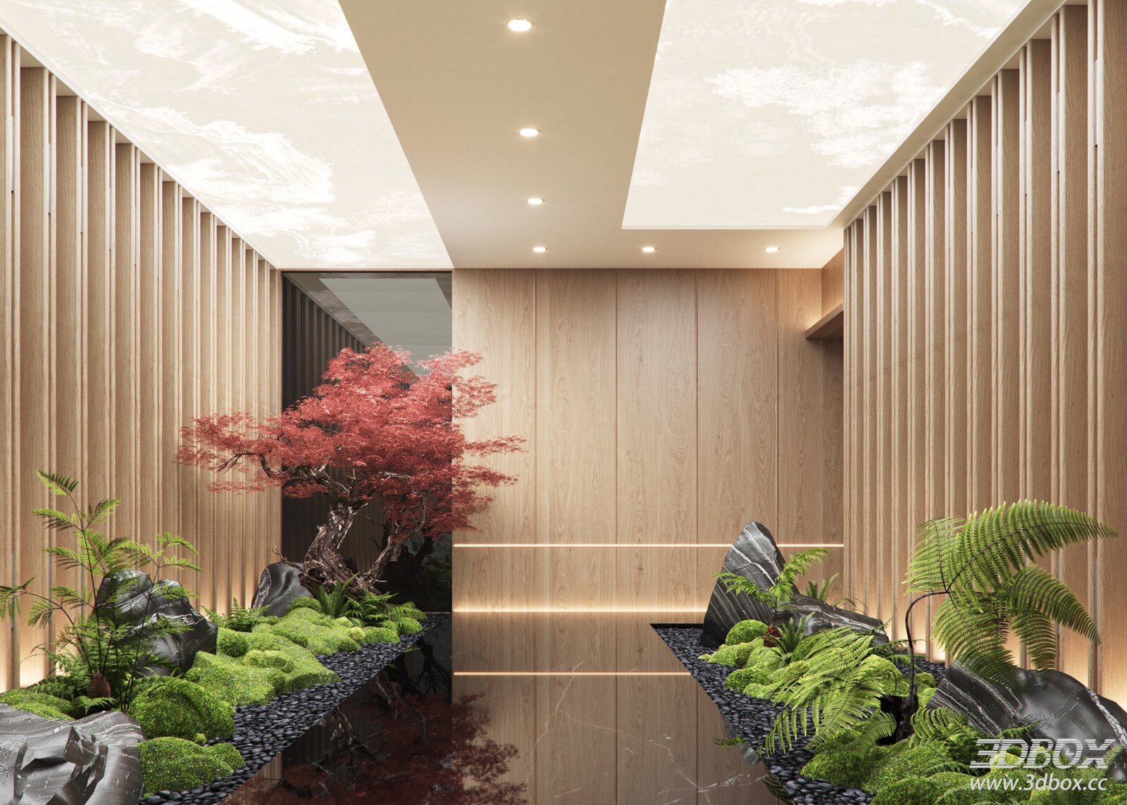 Modern Minimalist Hallway With Indoor Landscape Decoration