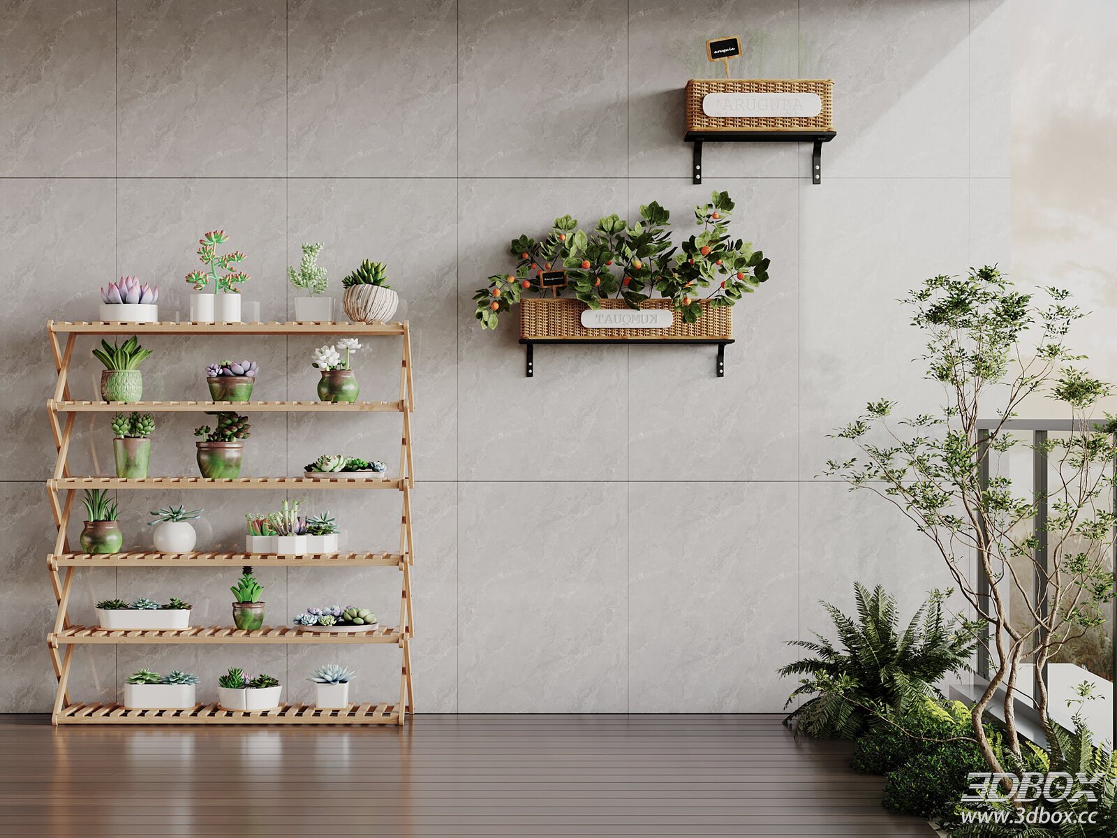 Wooden Plant Rack with Succulents and Wall Mounted Planters