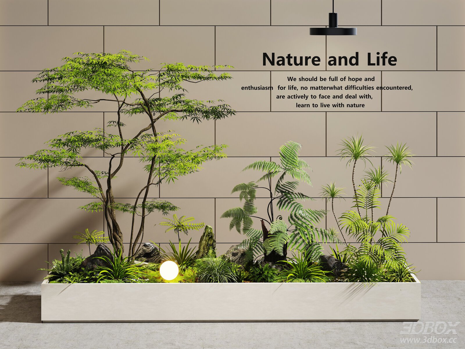 Modern Indoor Greenery Landscape Plant Arrangement