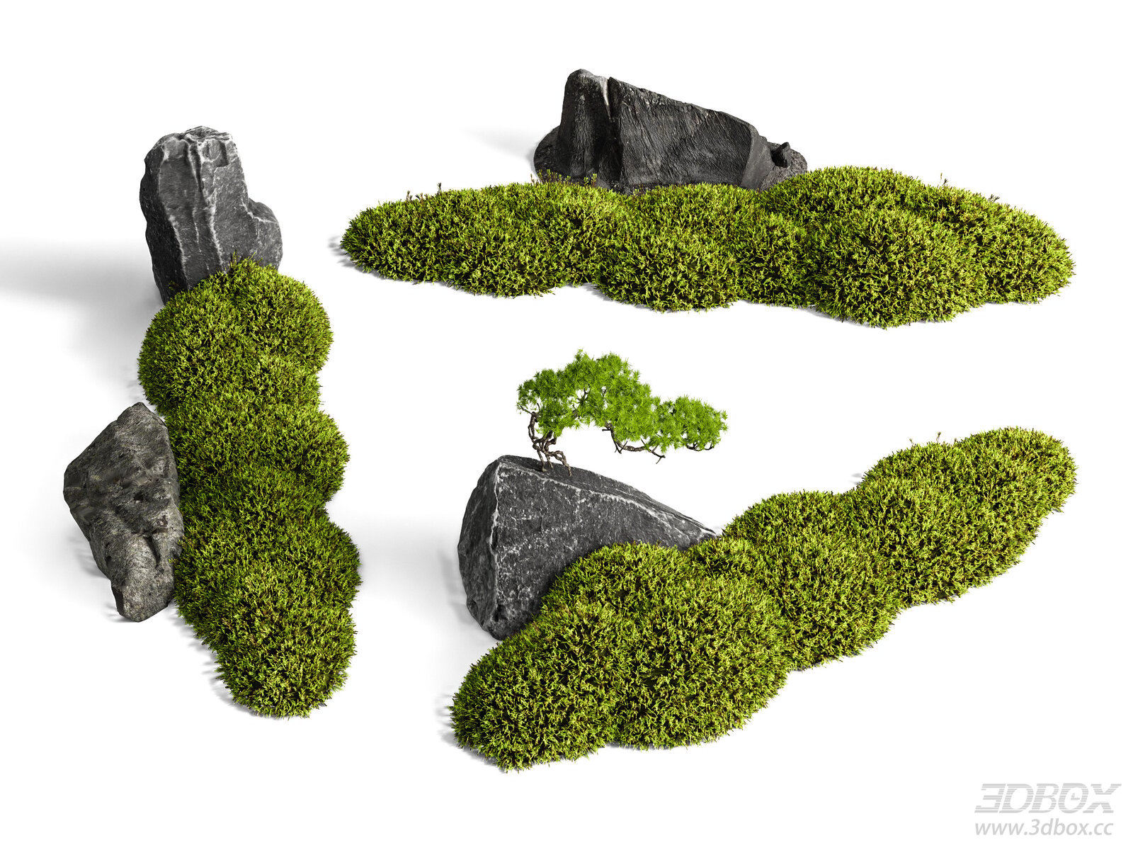 Zen Garden Landscape Set with Moss Stones and Mini Pine