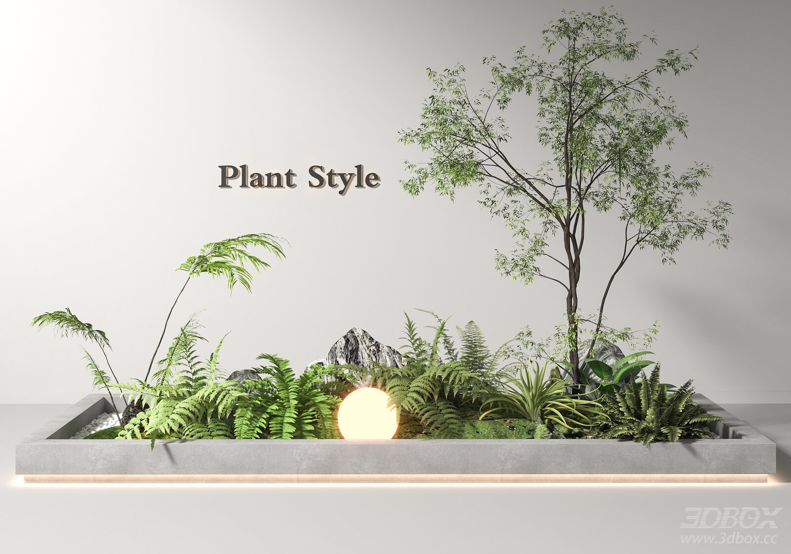 Indoor Fern Landscape Plant Arrangement Decor