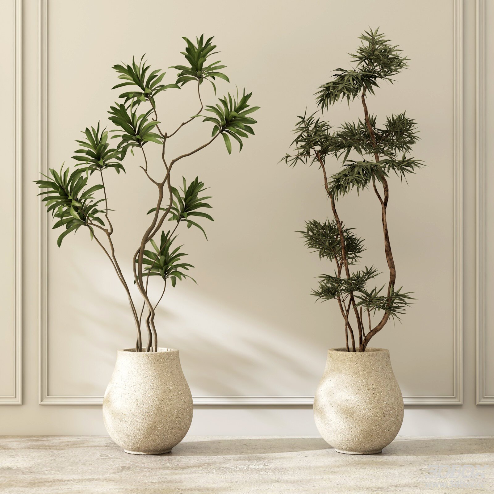 Set of Modern Potted Indoor Ornamental Plants