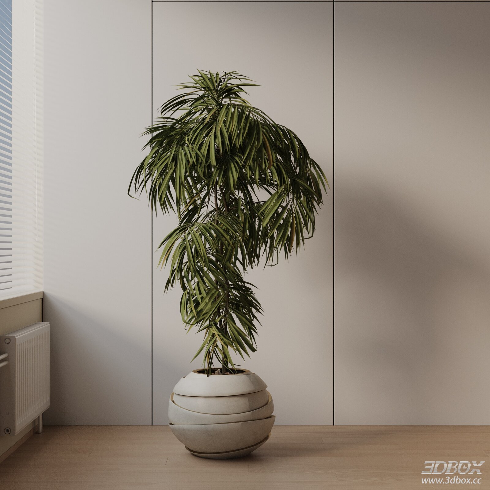 Modern Potted Indoor Palm Plant with Concrete Planter