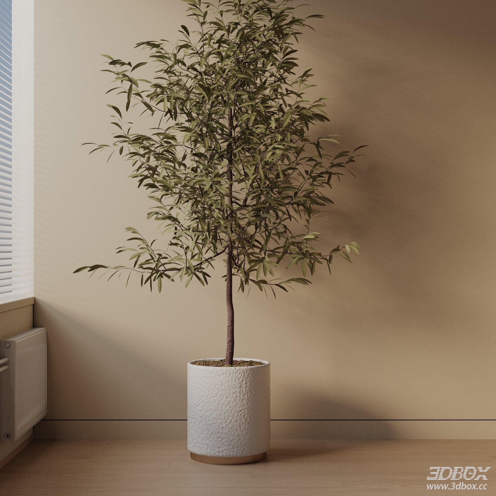 Modern Potted Indoor Tree Plant