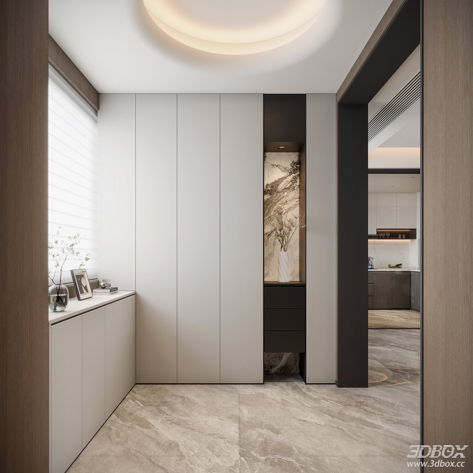 Modern Minimalist Hallway Entry Scene