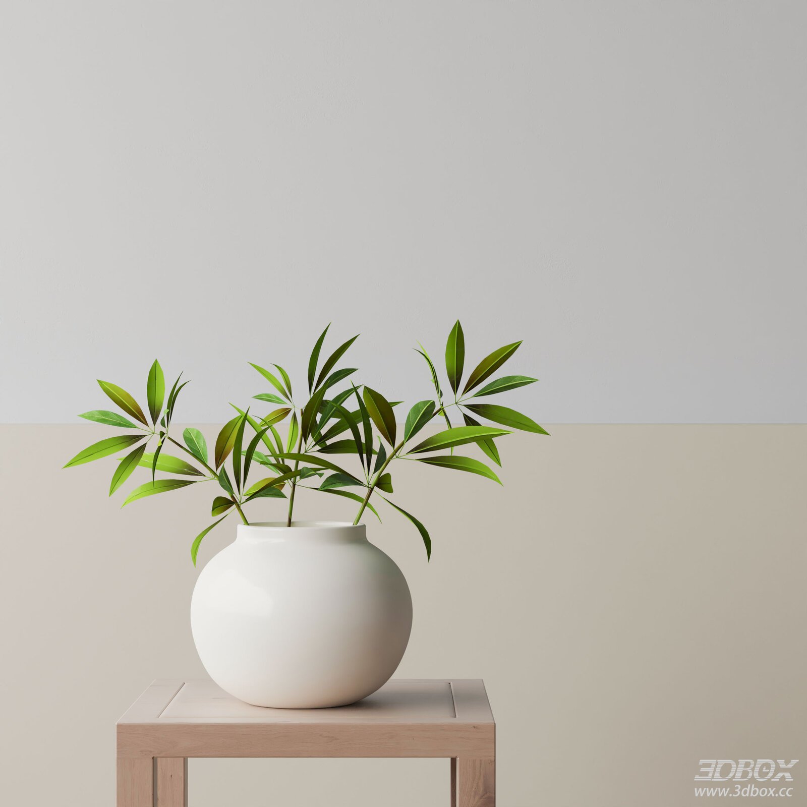 Modern Indoor Plant with White Ceramic Vase