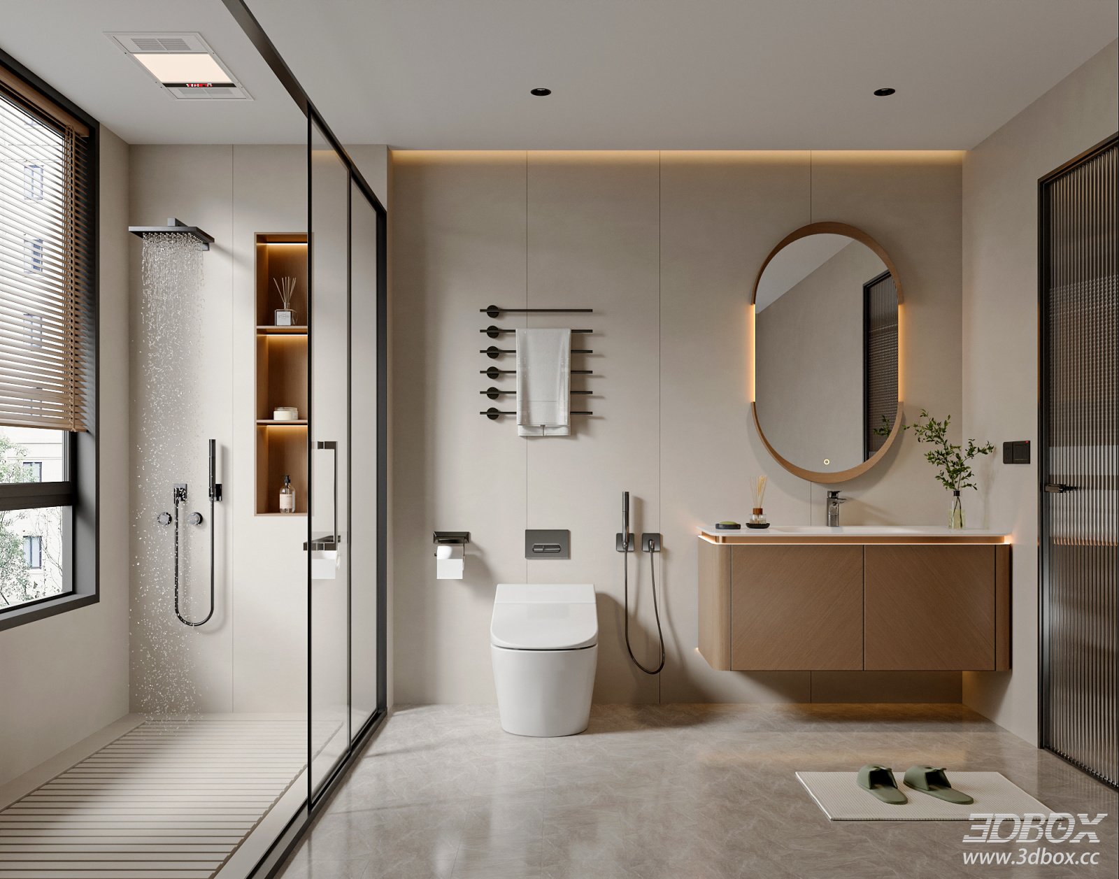 Modern Minimalist Dry Wet Separation Bathroom Scene