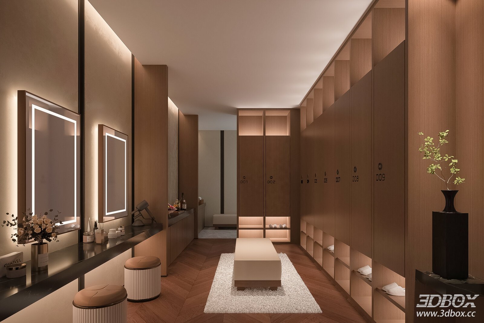 Modern Spa Dressing and Makeup Area Scene
