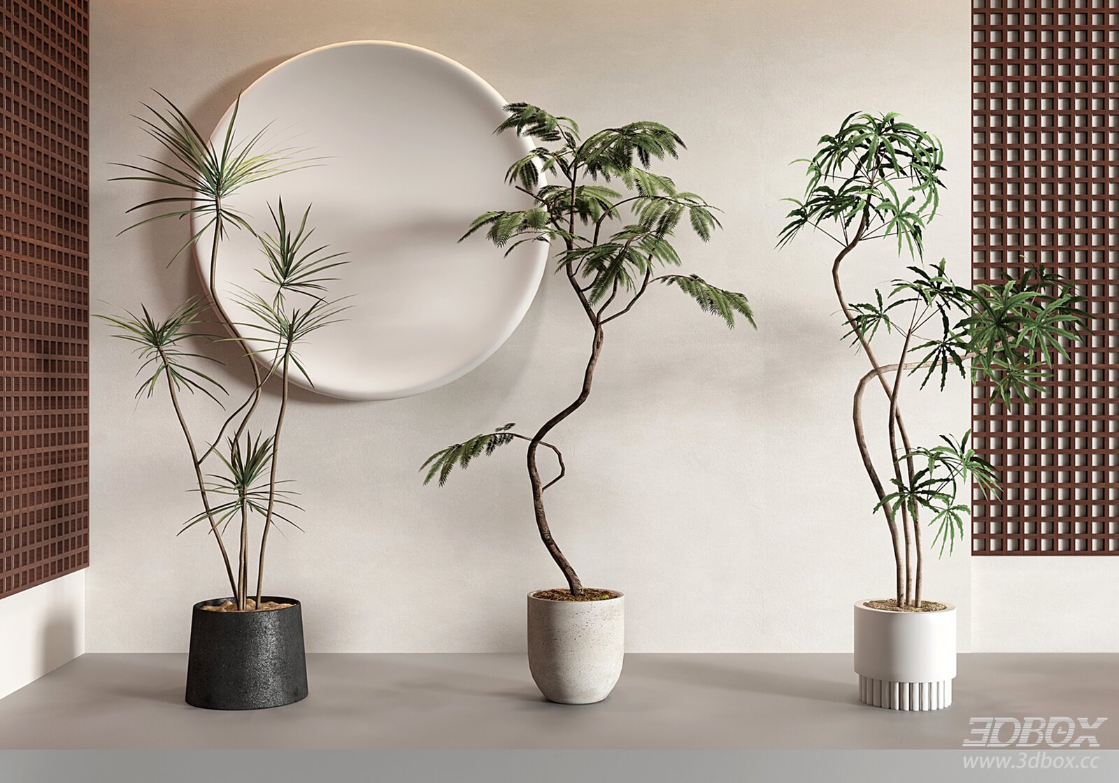 Modern Cream Style Indoor Potted Plant Set
