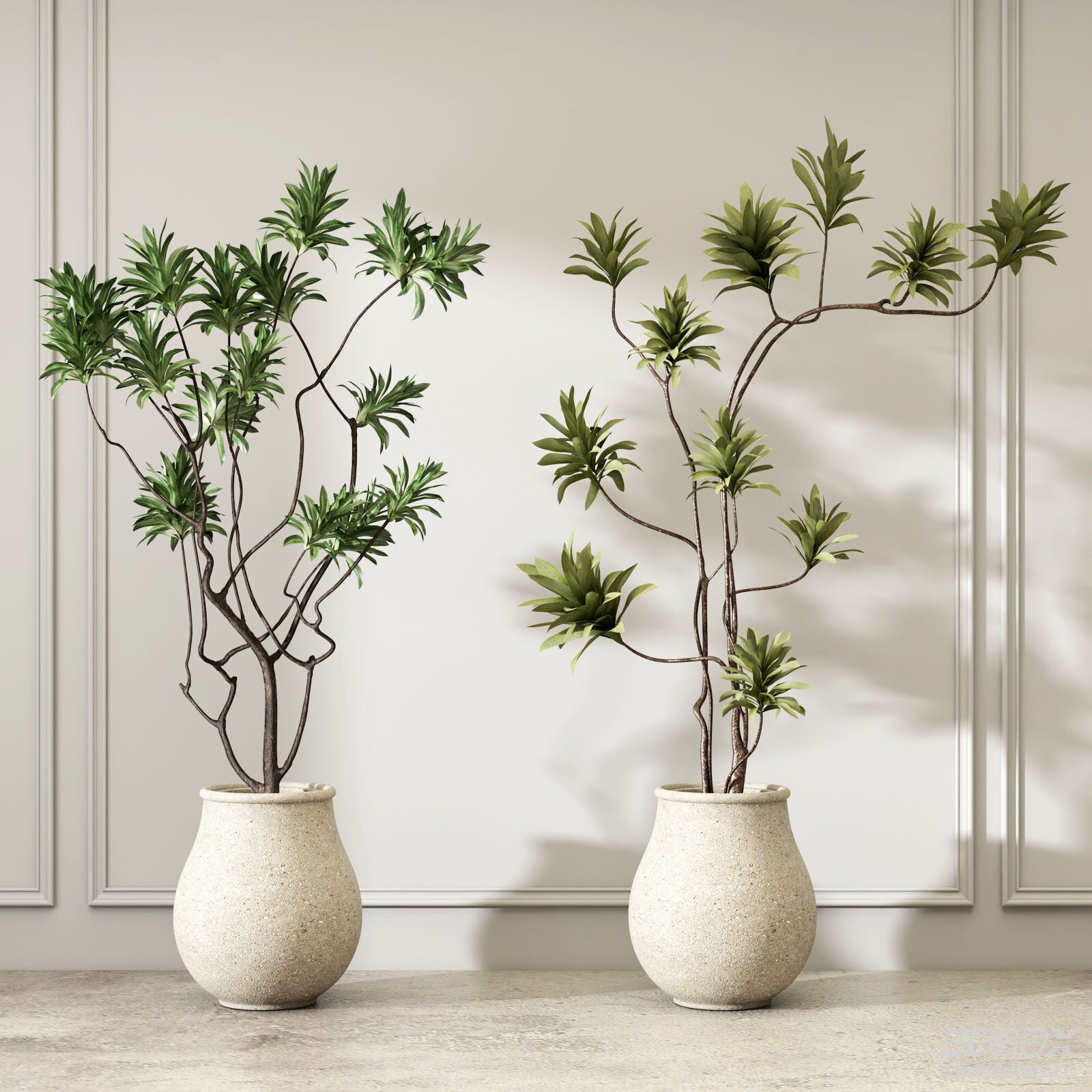 Set of 2 Modern Potted Indoor Green Plants