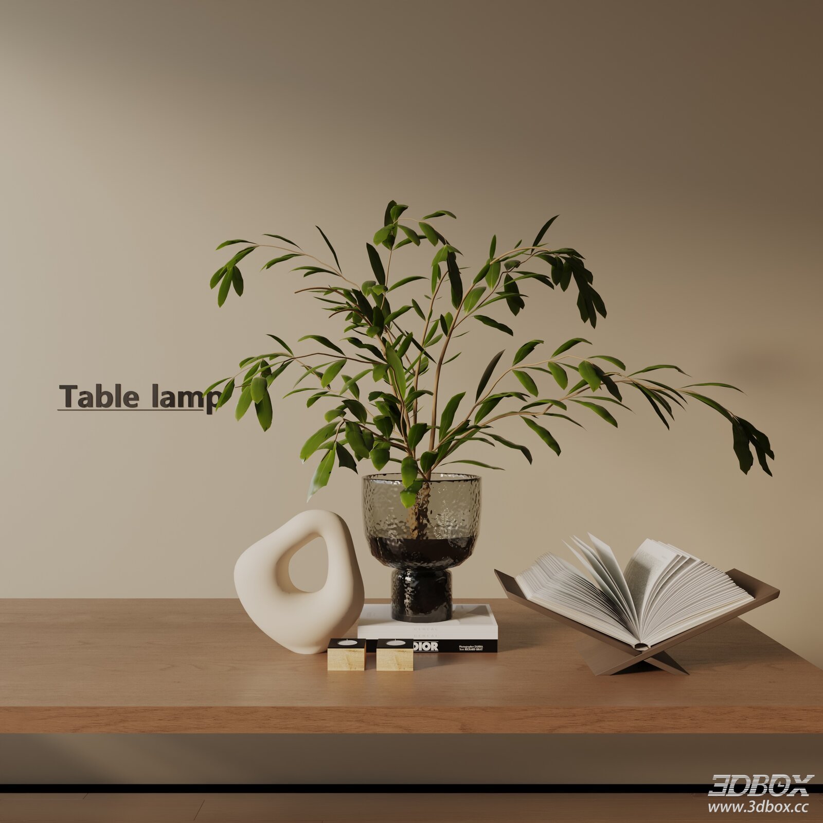 Modern Minimalist Decorative Set with Plant Vase Sculpture Book