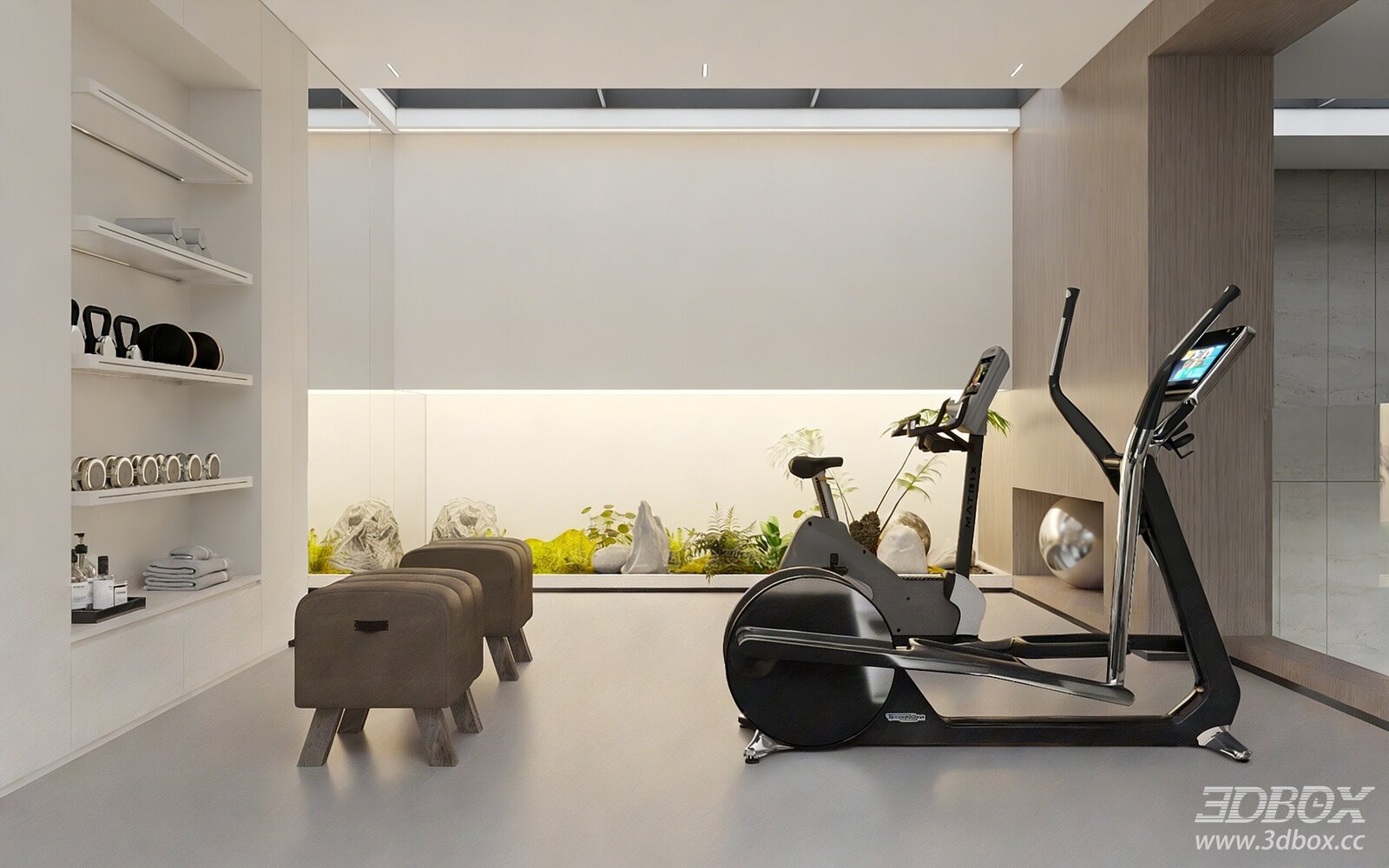 Modern Basement Home Gym Interior Scene