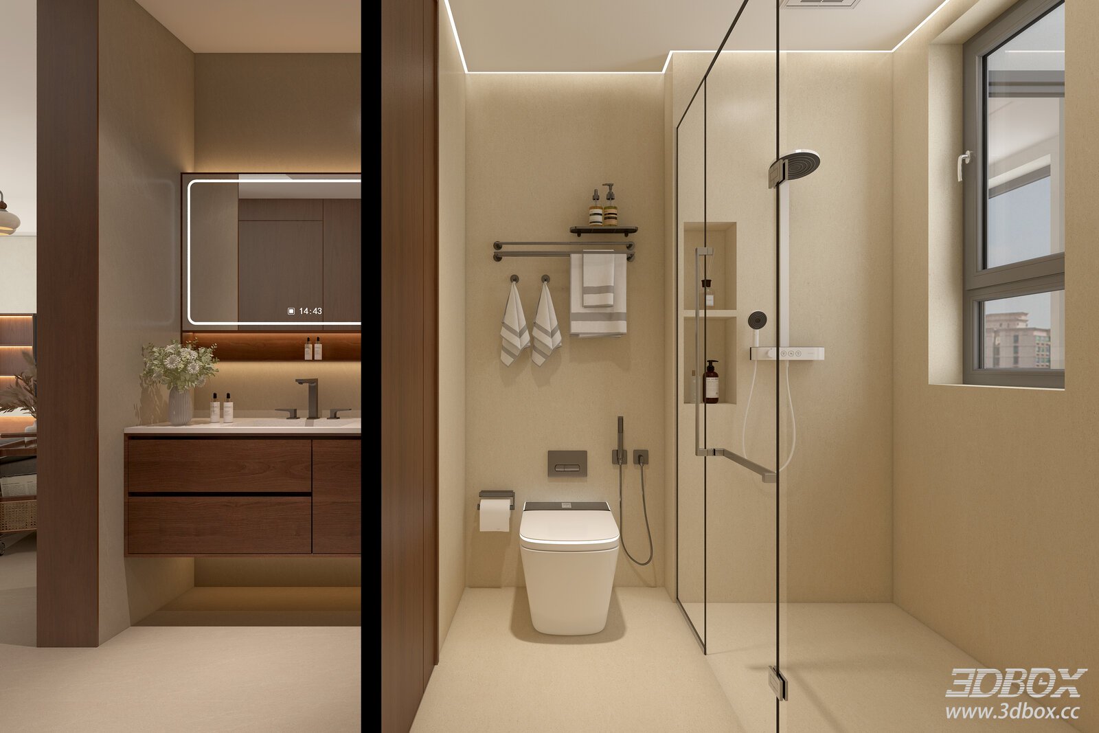 Mid Century Style Dry Wet Separation Bathroom Scene