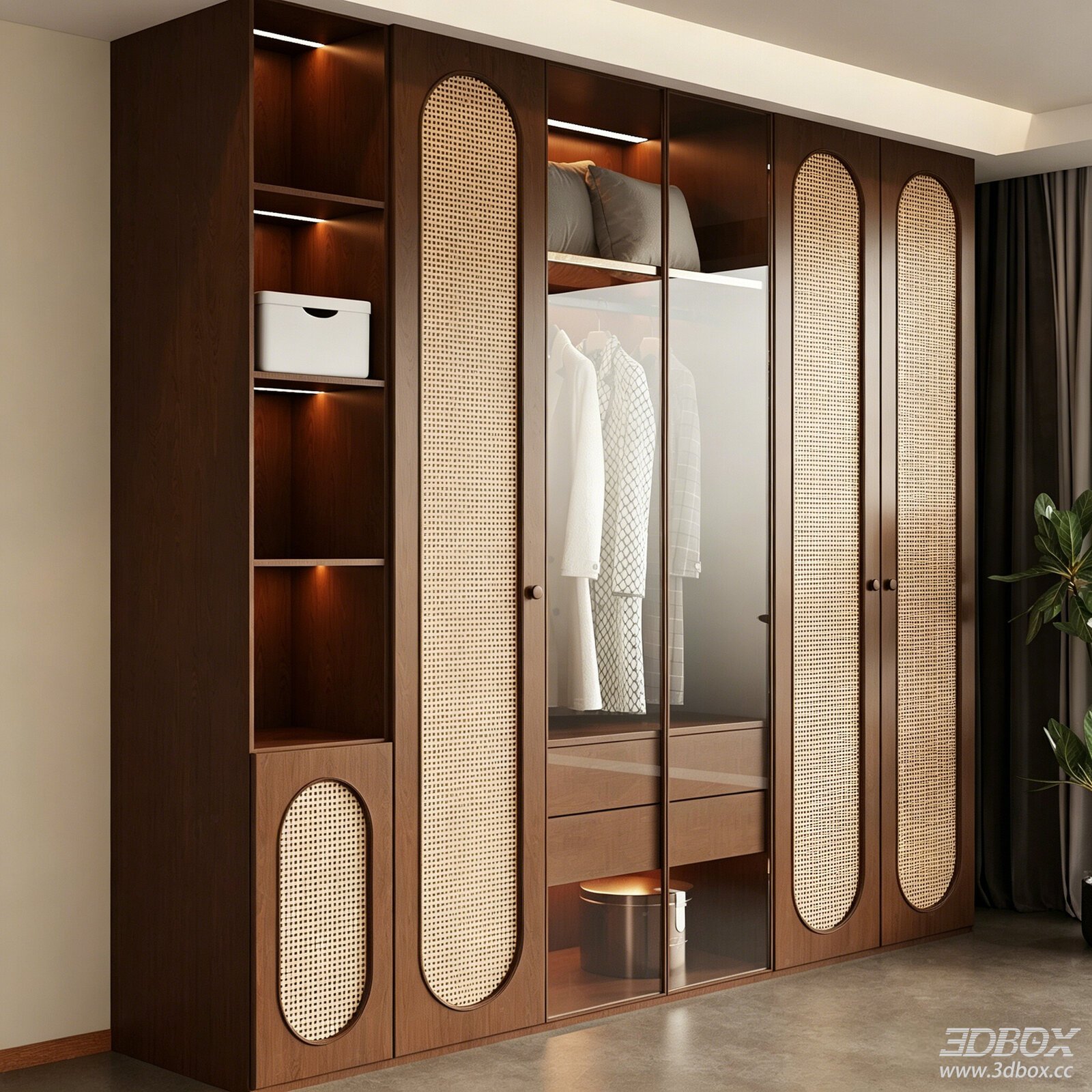Vintage Mid-century Rattan Walnut Wardrobe with Glass Door