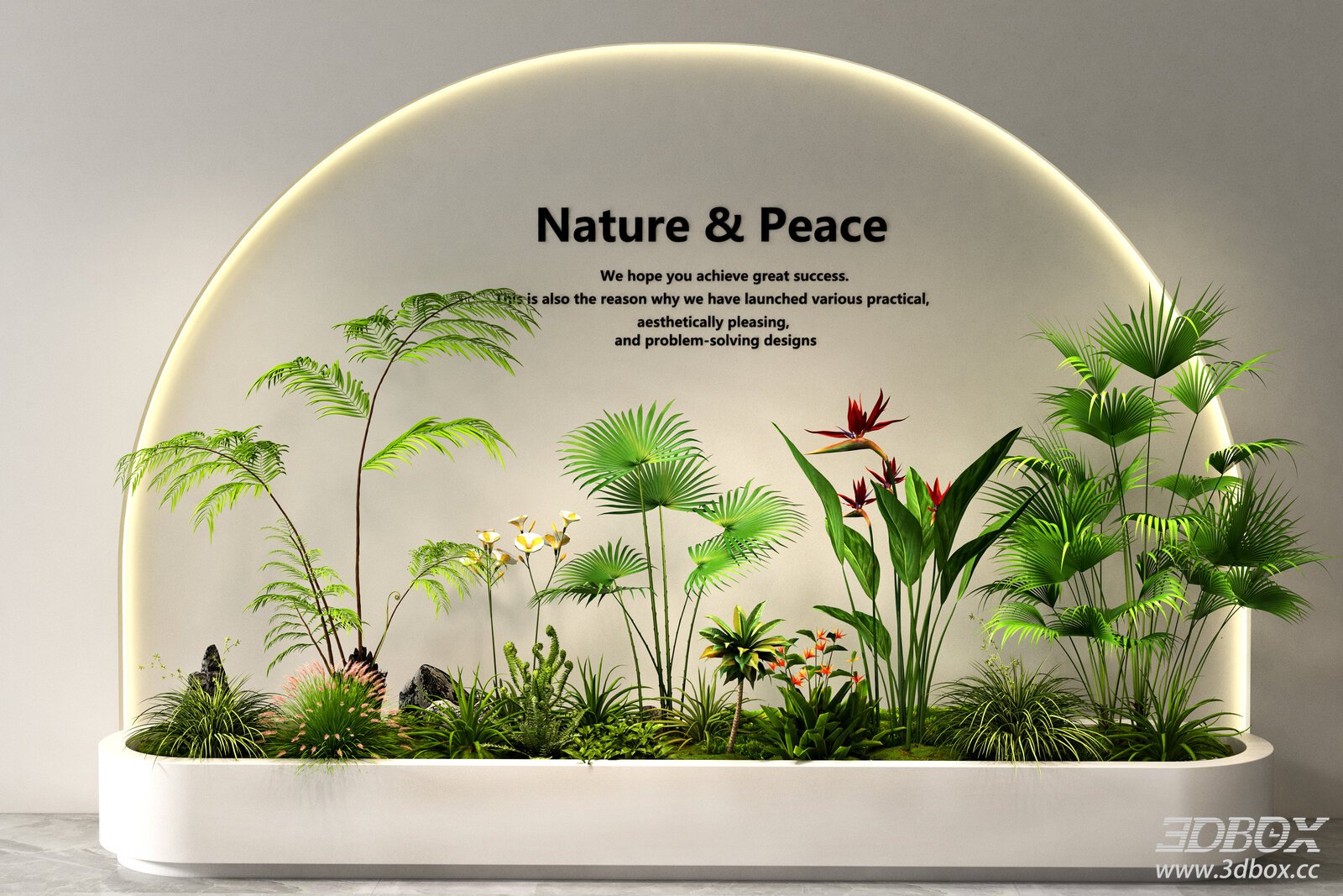 Indoor Tropical Plant Landscape Arrangement