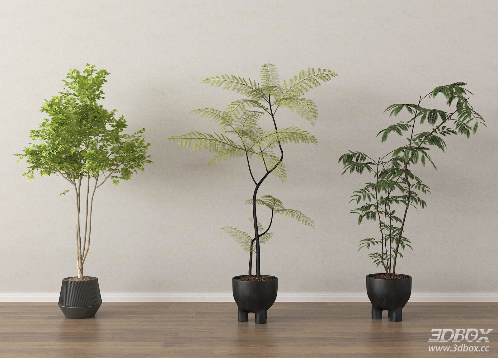 Set of 3 Modern Potted Indoor Decorative Plants