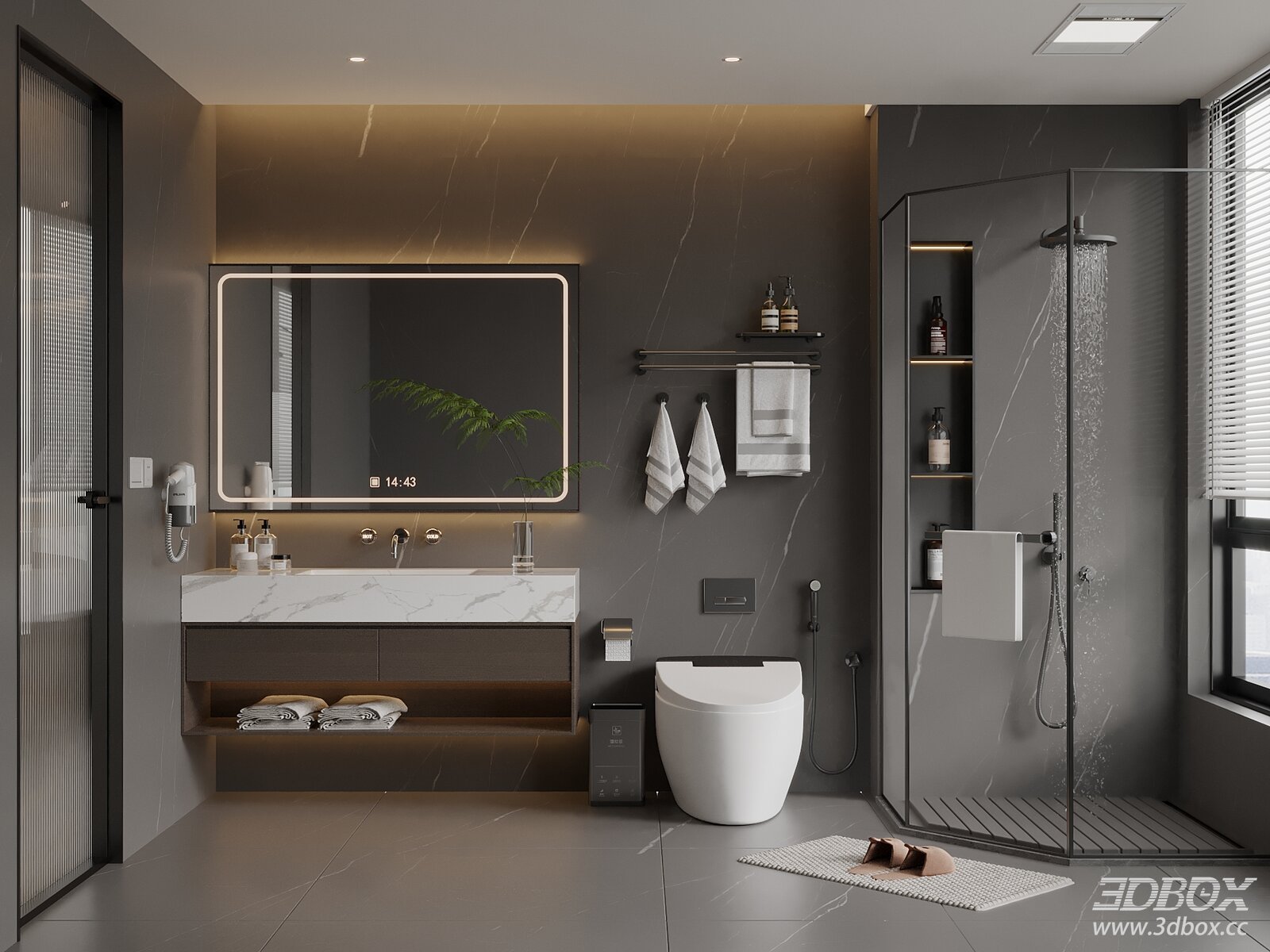 Modern Italian Style Dry Wet Separation Bathroom Scene
