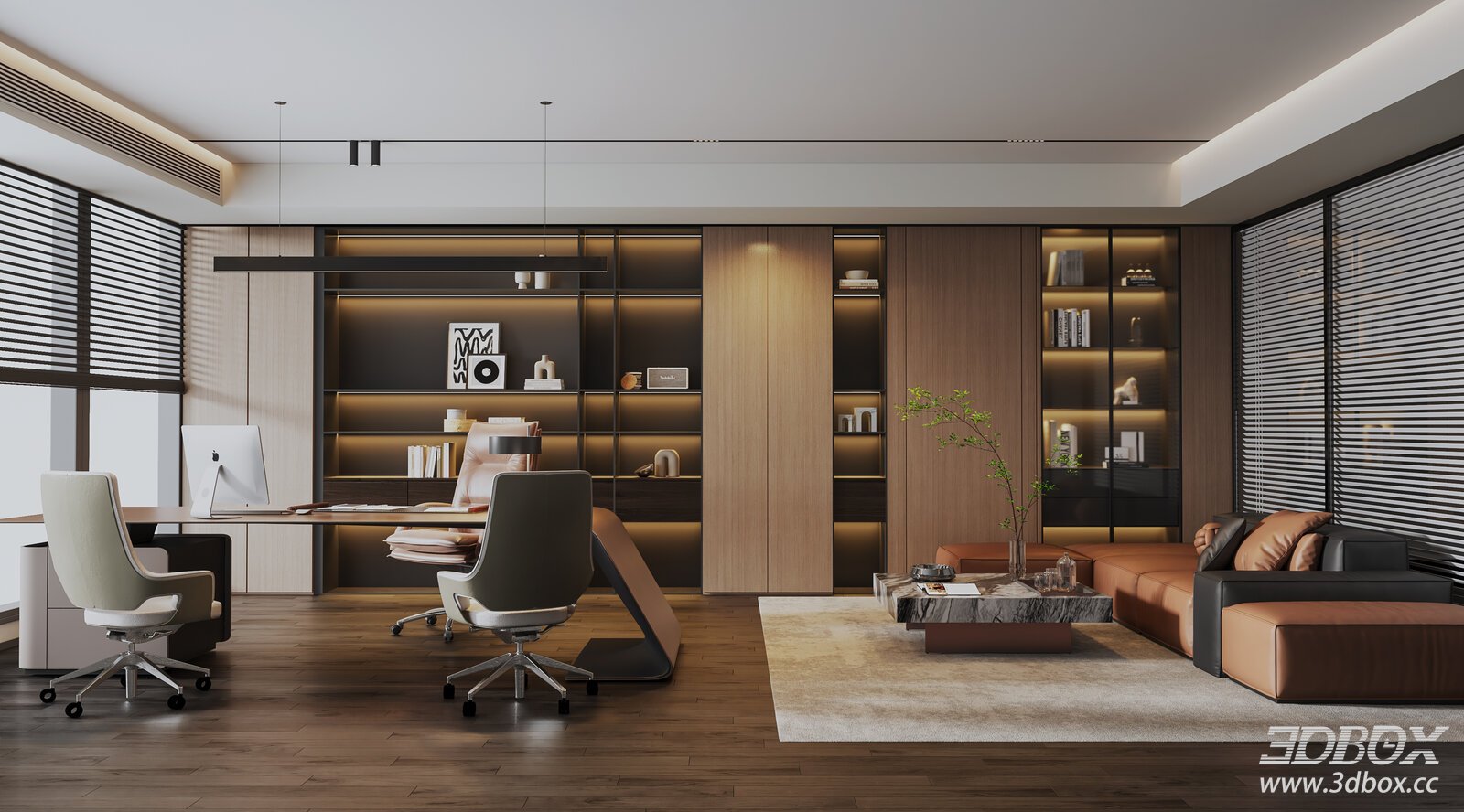 Modern Executive Manager Office Interior Scene