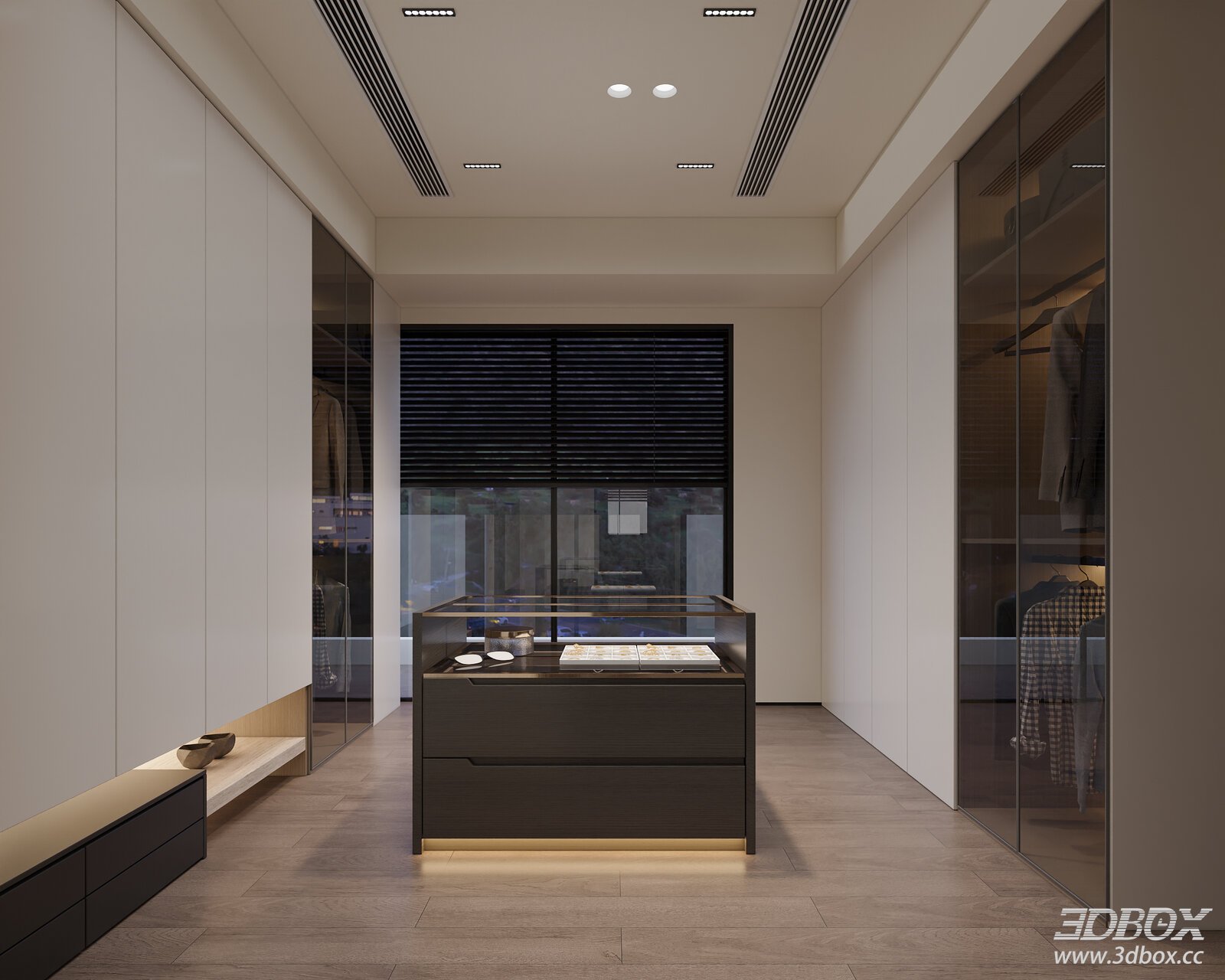 Modern Minimalist Walk-in Dressing Room