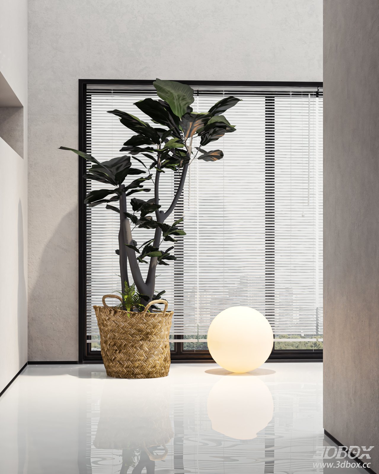 Modern Indoor Potted Foliage Plant with Woven Basket