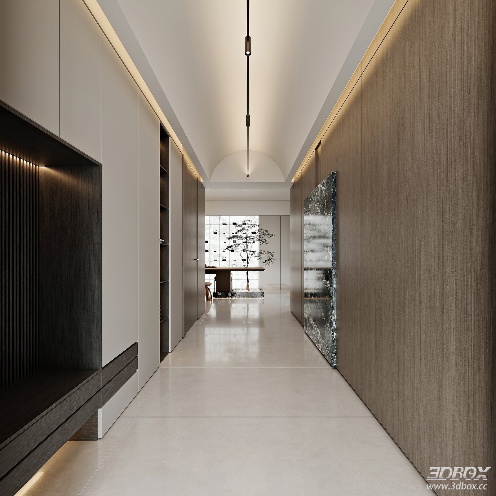 Modern Minimalist Home Hallway Entry Interior