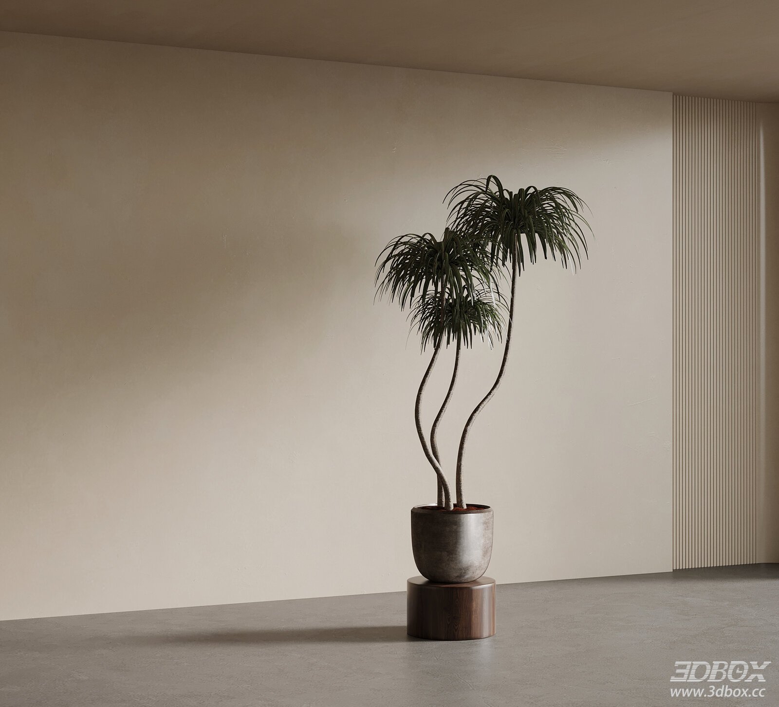 Mid Century Style Indoor Dracaena Potted Plant