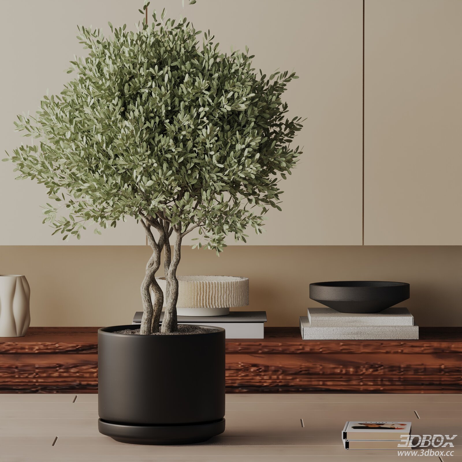 Modern Potted Olive Indoor Plant