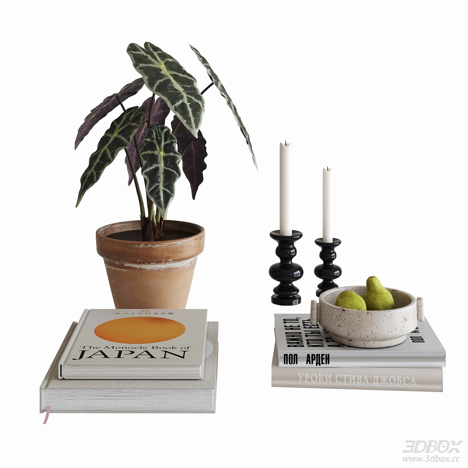 Mid Century Modern Table Decor Set with Plant Books and Candle Holders