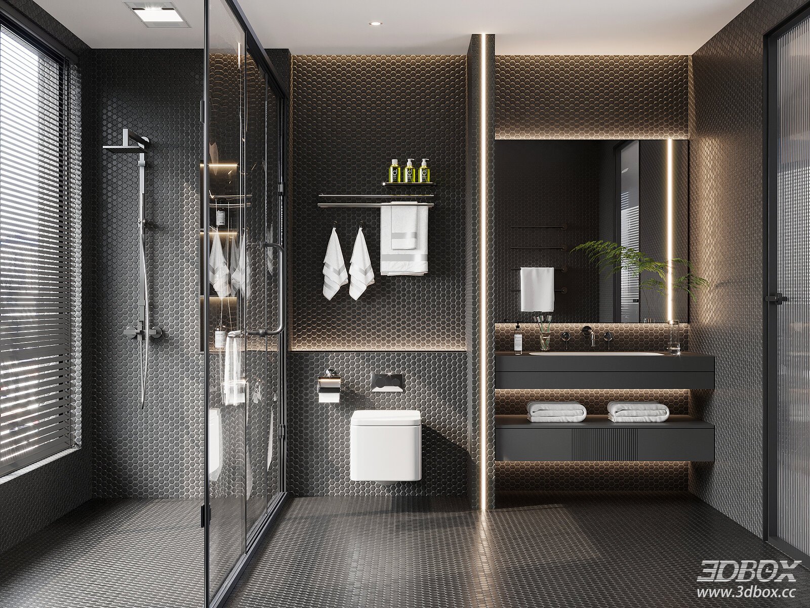 Modern Minimalist Black Bathroom Scene