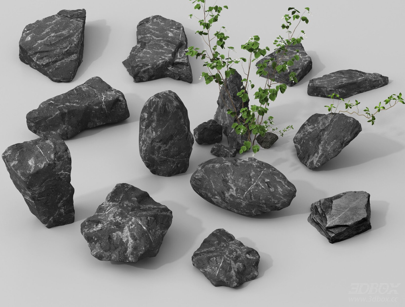 Black Landscape Stones Set with Climbing Plant